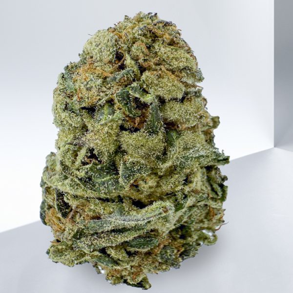 238-GREEN-GELATO.jpg