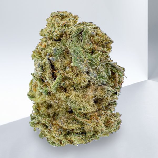 243-GRAPE-APE-SATIVA.jpg