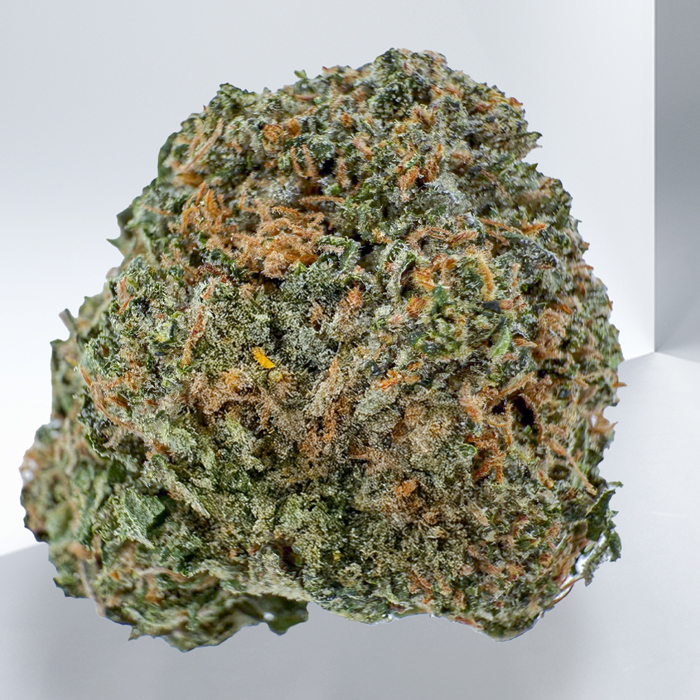 DEATH BUBBA LTD BAG